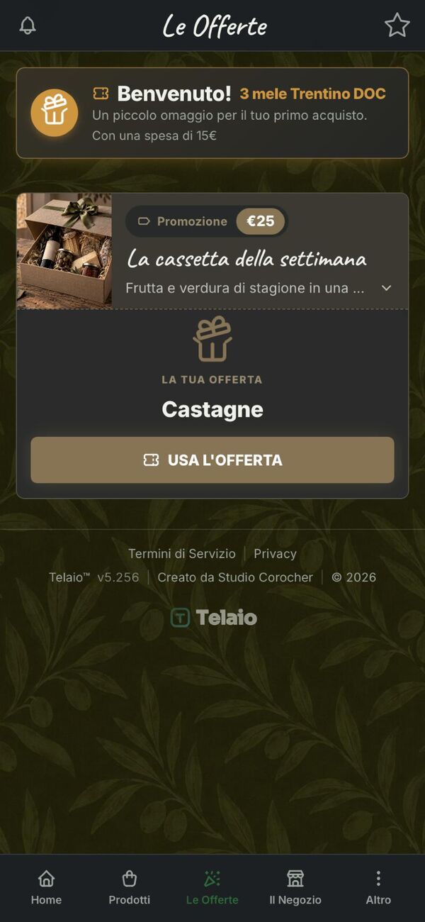 Quanto costa creare un’app: l’app di un negozio fatta con Telaio